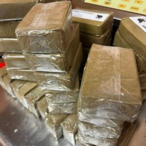 MOUSSE CARGO BOYS HASH