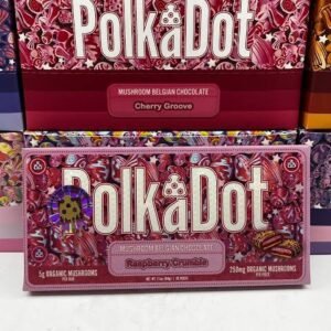 POLKADOT MUSHROOM BELGIAN CHOCOLATE